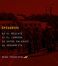 Ver imagen original